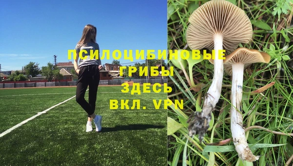 прущие крисы Покровск